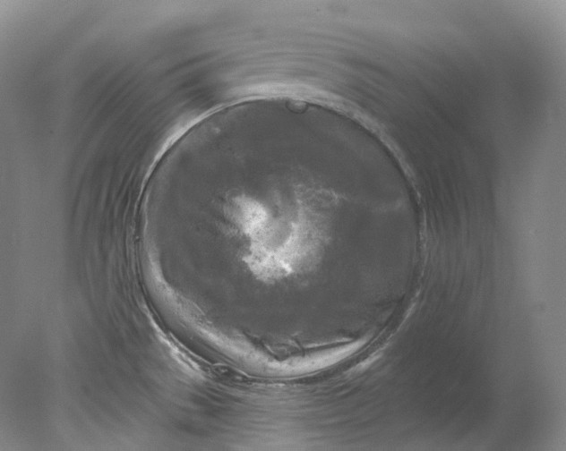 X0000078311529200611172201