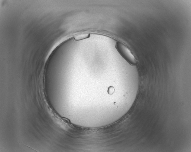 X0000078311530200611172202