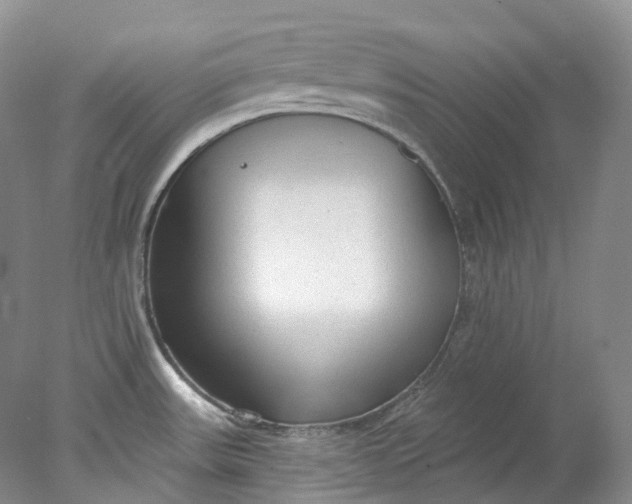 X0000078311531200611172202