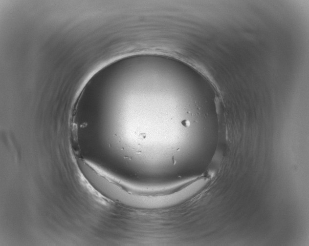 X0000078311532200611172202