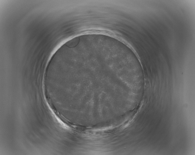 X0000078311533200611172202