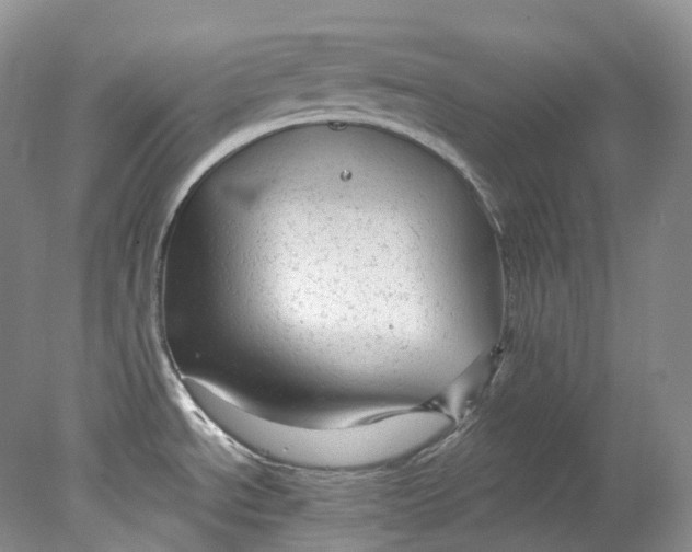 X0000078311534200611172202