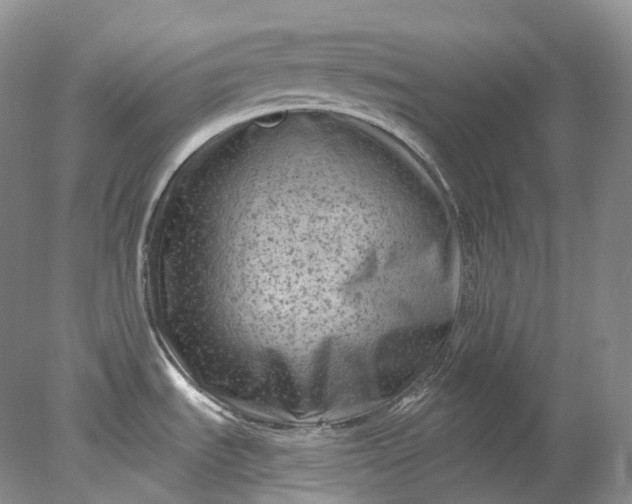 X0000078311535200611172202