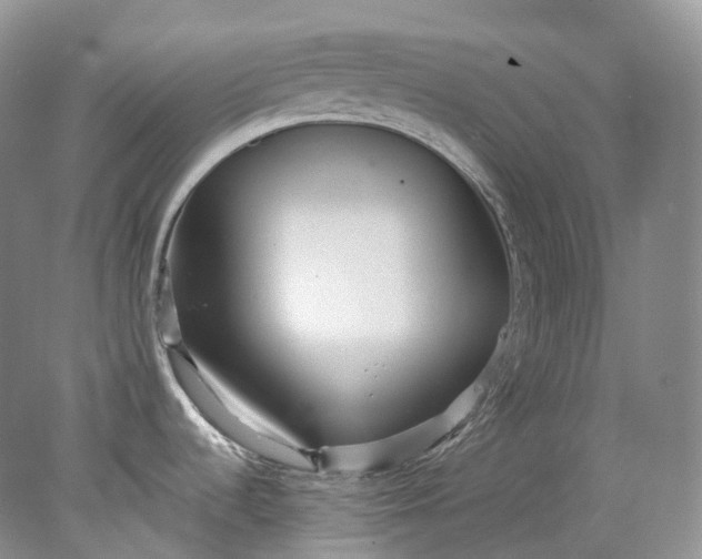 X0000078311536200611172202