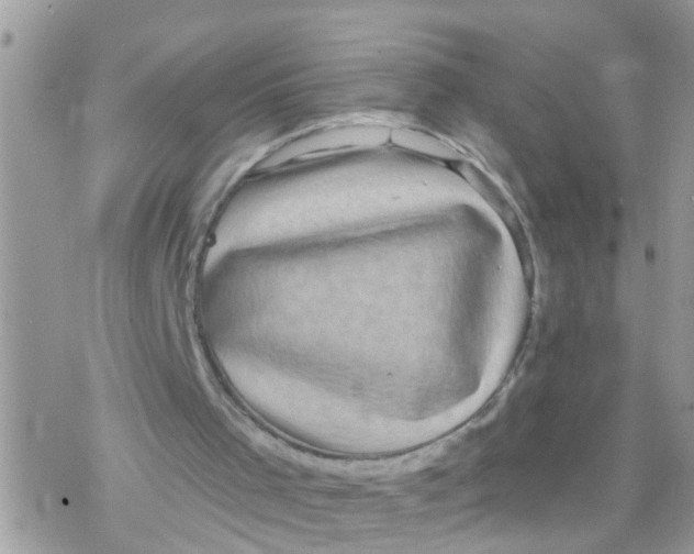 X0000078310001200611251545