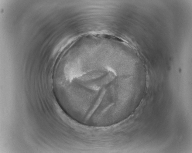 X0000078310002200611251545