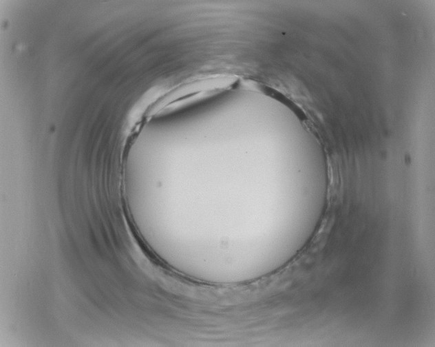 X0000078310003200611251545