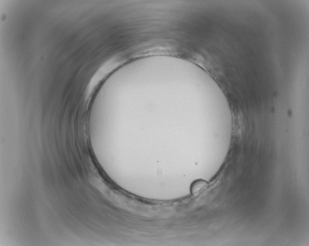 X0000078310004200611251545