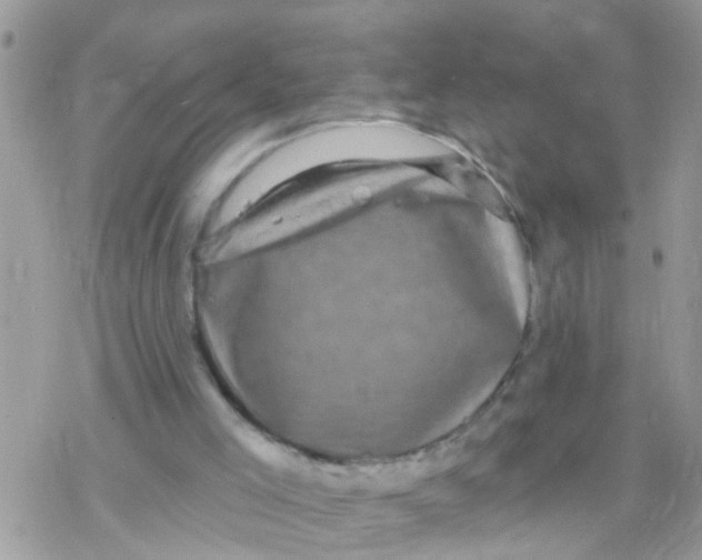 X0000078310005200611251545