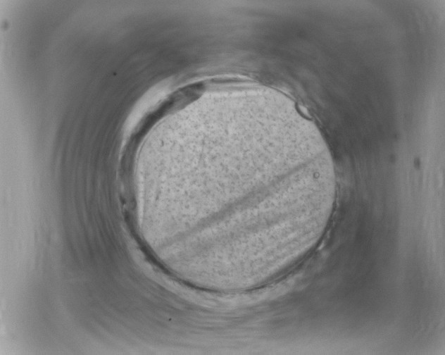 X0000078310006200611251545