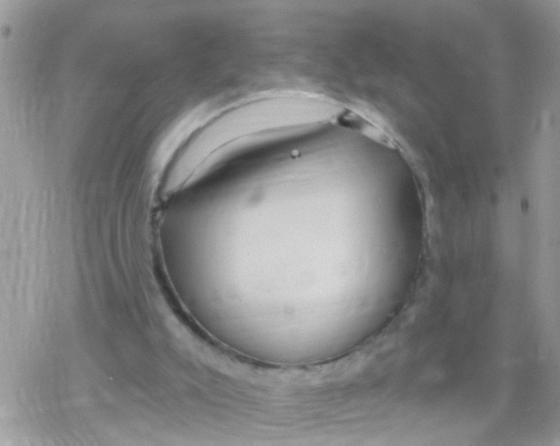 X0000078310007200611251545