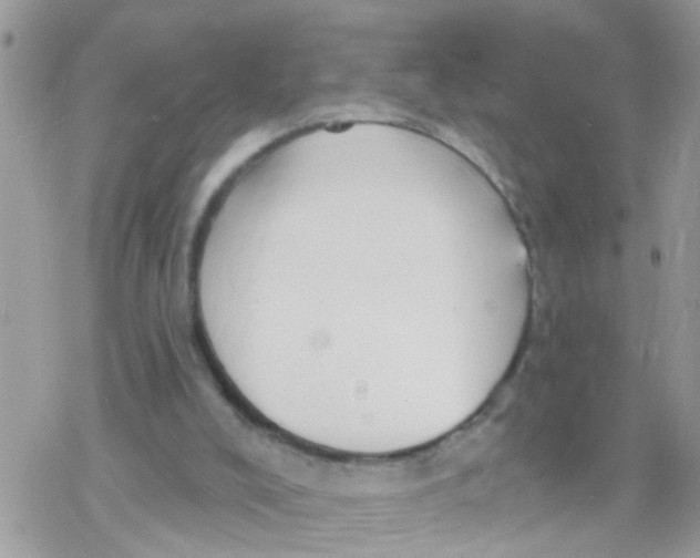 X0000078310008200611251545