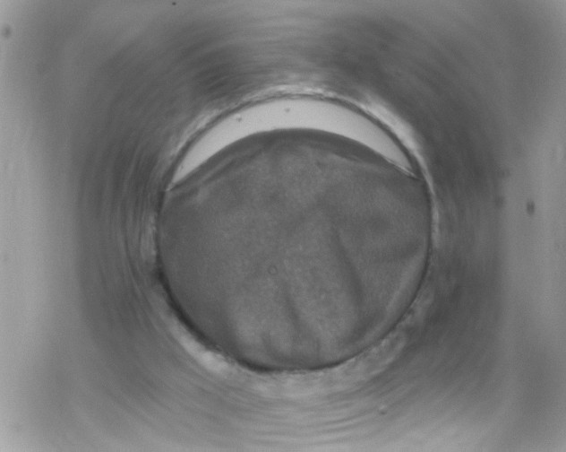 X0000078310009200611251545