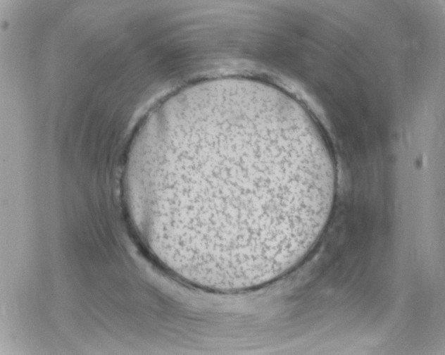 X0000078310010200611251545