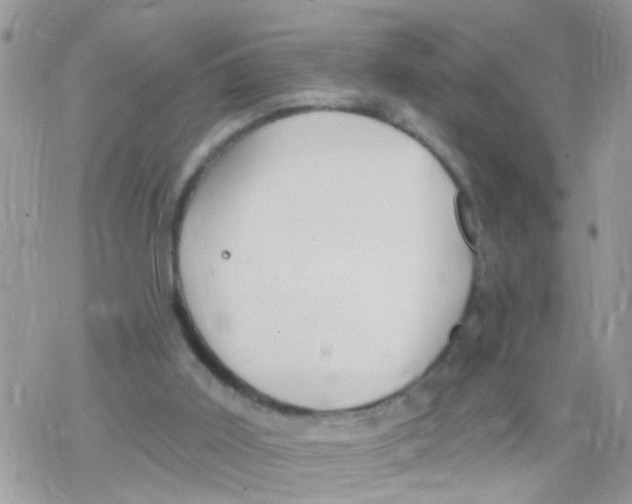 X0000078310011200611251545