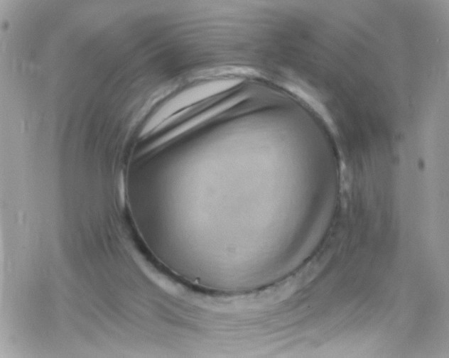 X0000078310013200611251545