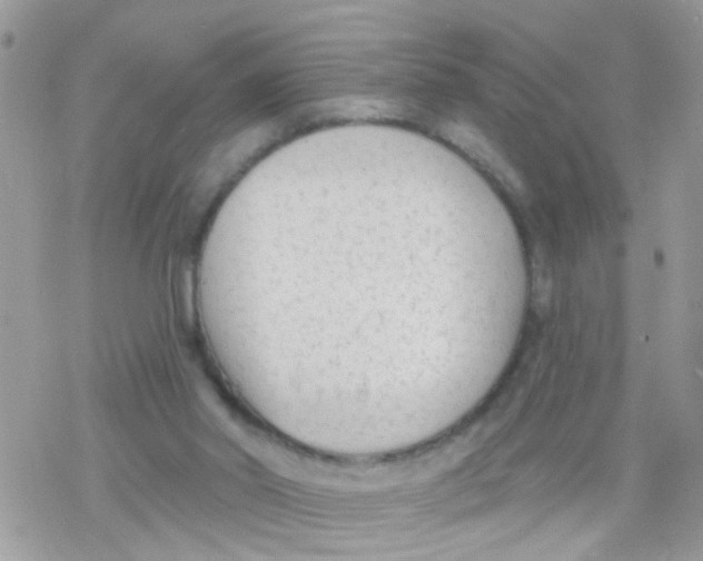 X0000078310014200611251545