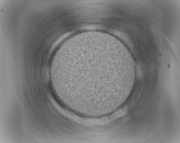 X0000078310016200611251545