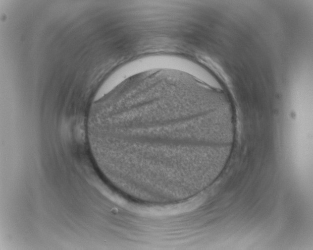 X0000078310017200611251545