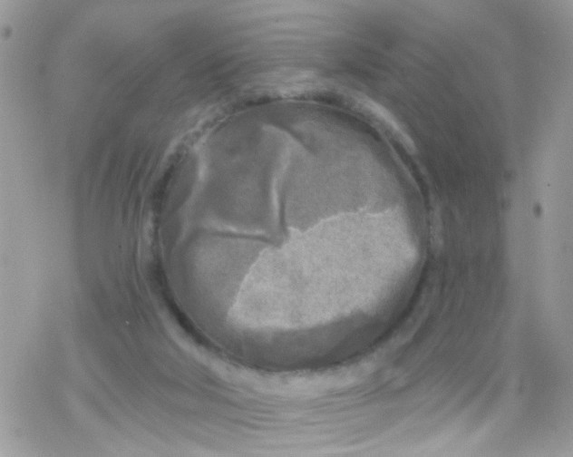 X0000078310018200611251545