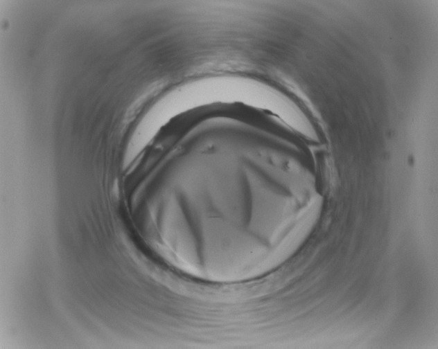 X0000078310019200611251545