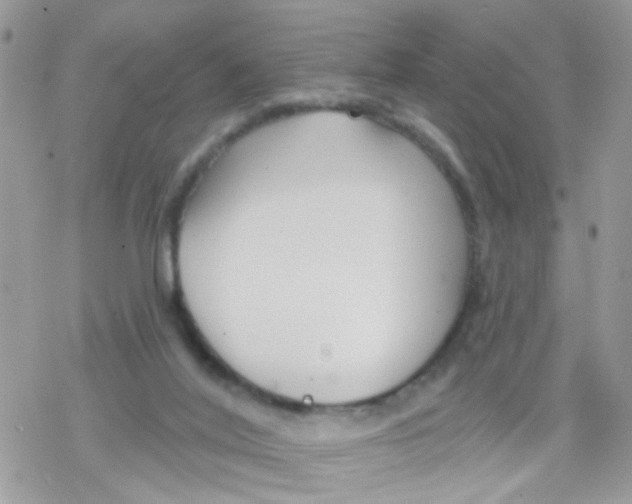 X0000078310020200611251545