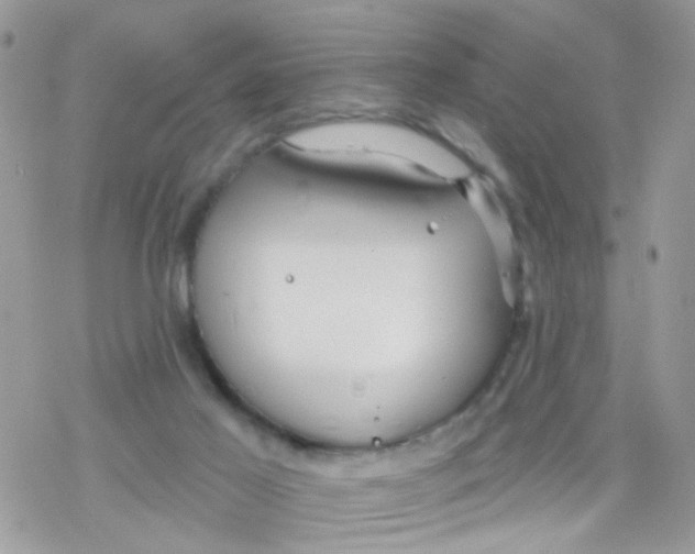 X0000078310021200611251545