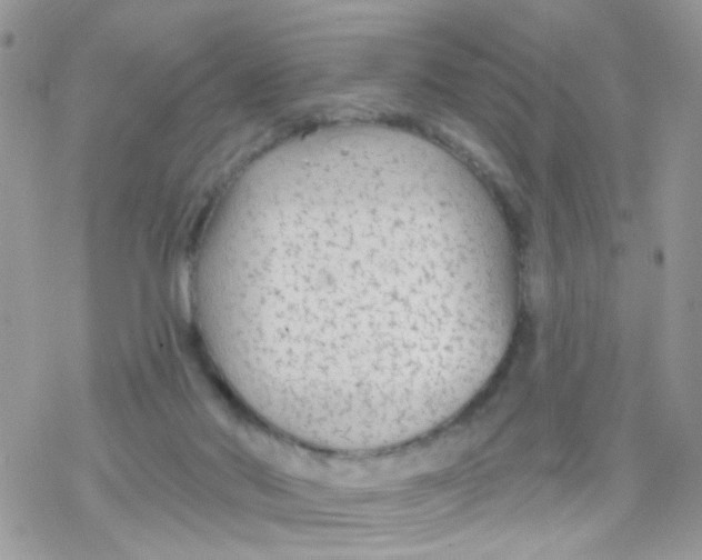 X0000078310022200611251545