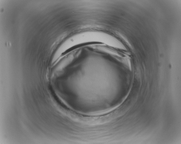 X0000078310023200611251545