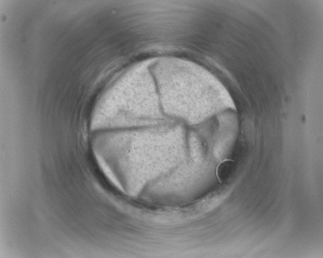 X0000078310024200611251544