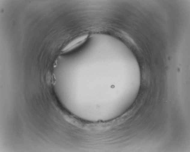 X0000078310025200611251544