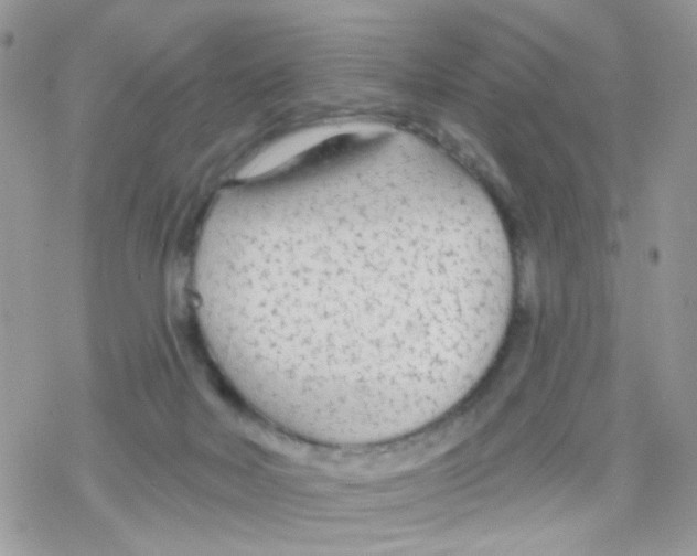 X0000078310026200611251544