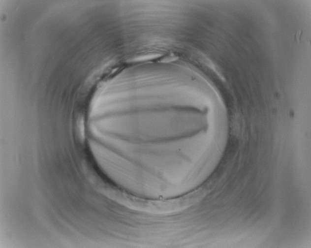 X0000078310027200611251544