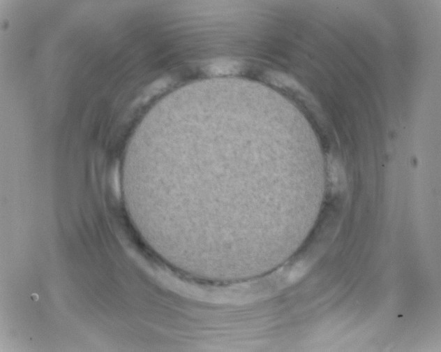 X0000078310028200611251544