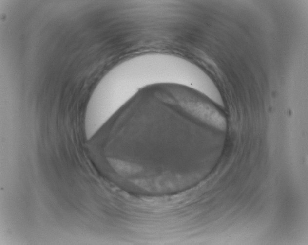 X0000078310029200611251544