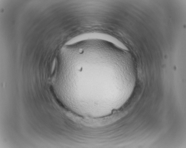 X0000078310030200611251544