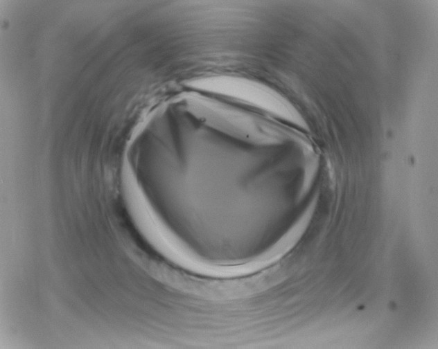 X0000078310031200611251544