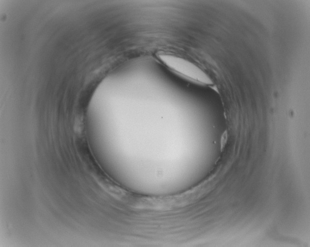 X0000078310033200611251544