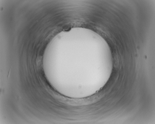 X0000078310034200611251544