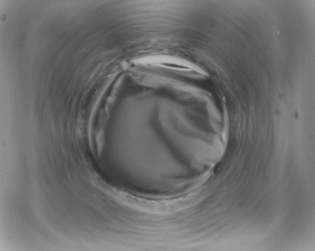 X0000078310035200611251544