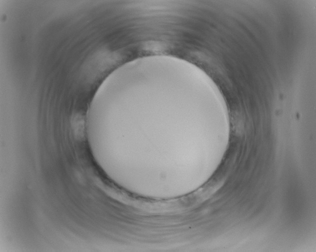 X0000078310036200611251544