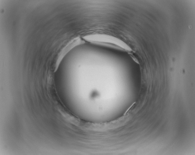 X0000078310037200611251544