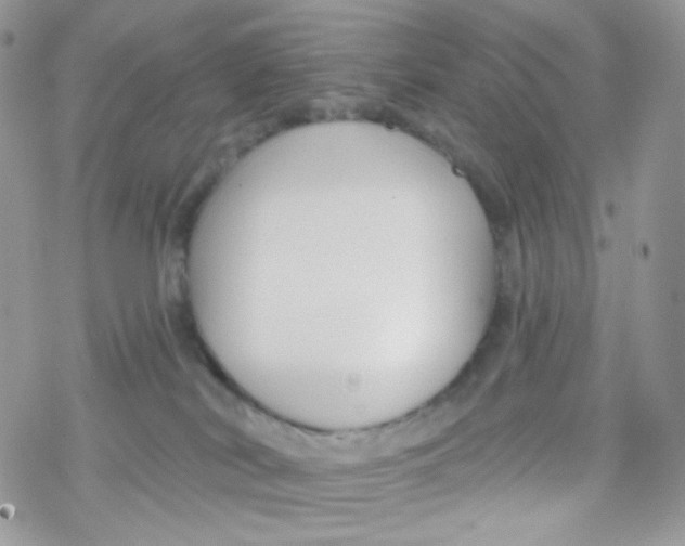 X0000078310038200611251544