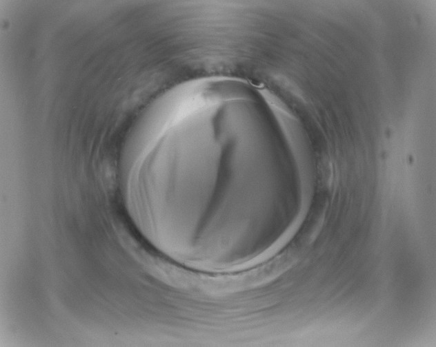 X0000078310039200611251544