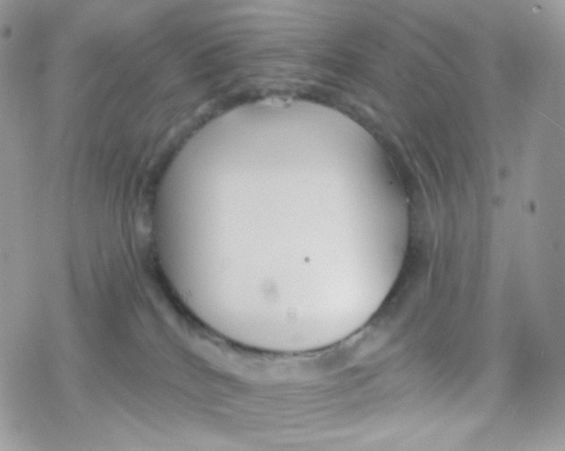 X0000078310040200611251544