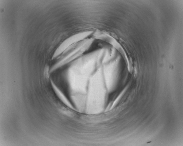 X0000078310041200611251544