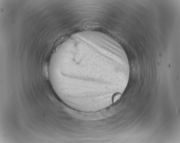 X0000078310042200611251544