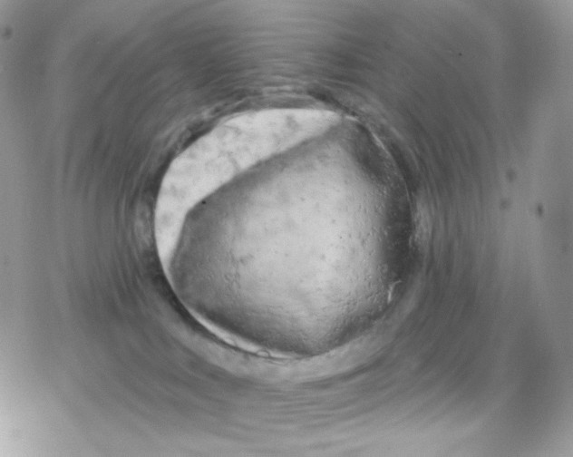 X0000078310043200611251544