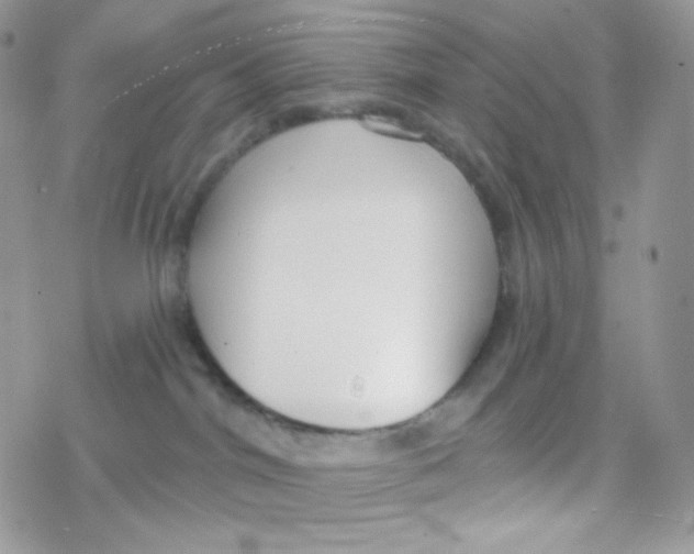 X0000078310044200611251544