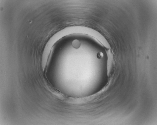 X0000078310045200611251544